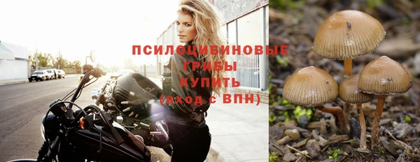марки nbome Балабаново