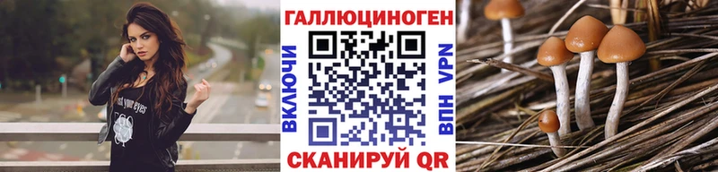 Псилоцибиновые грибы Psilocybe  Гулькевичи 